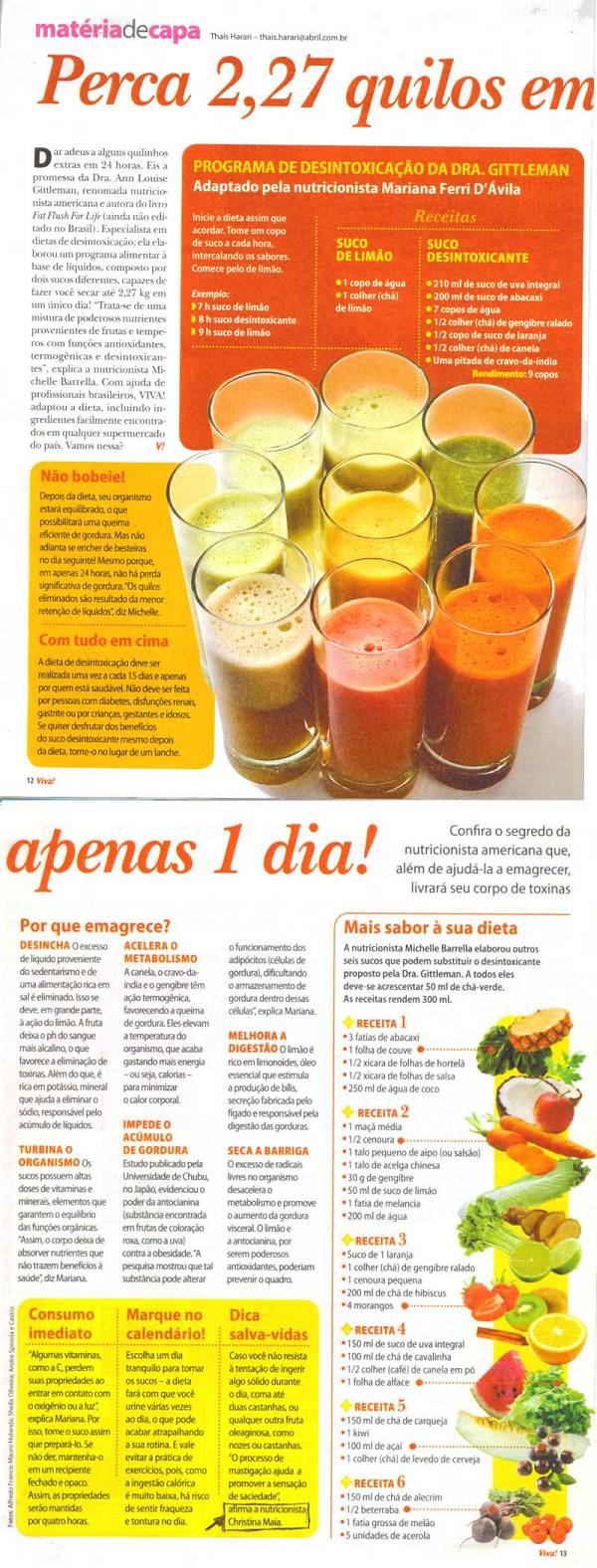 dieta suco detox 1 dia